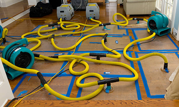 Professional Water Damage Restoration technician working in Parlin, NJ